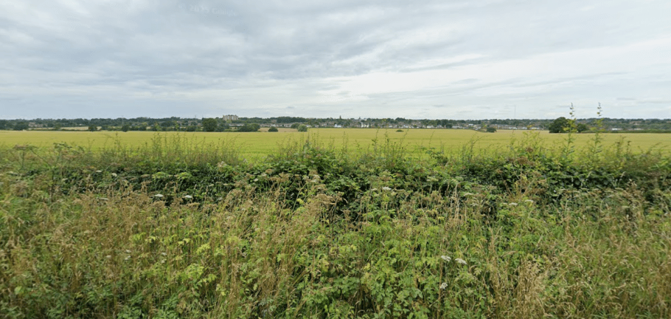 A rural landscape with a field of green plants in the foreground, a field of wheat beyond it, and a town in the distance under a cloudy sky.