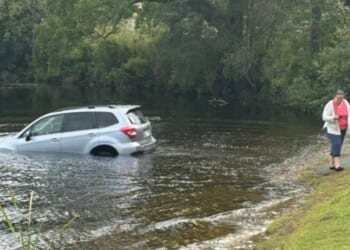 A woman left her car in the wrong gear while yelling at ICE agents, causing the vehicle to roll into a nearby lake, Fox News reporter Bill Melugin revealed on Sept. 28, 2025.