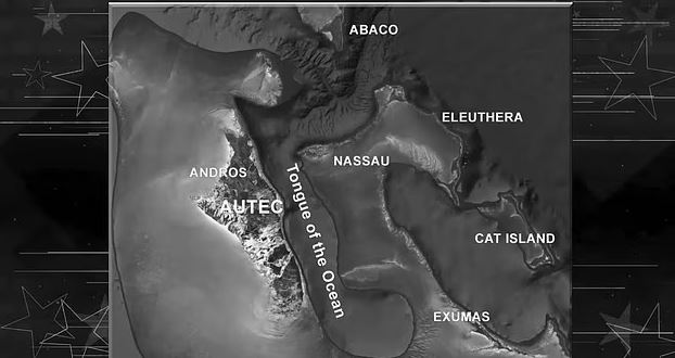Map showing the islands of the Bahamas including Andros, Nassau, Eleuthera, Abaco, Cat Island, and Exumas, and the Tongue of the Ocean.