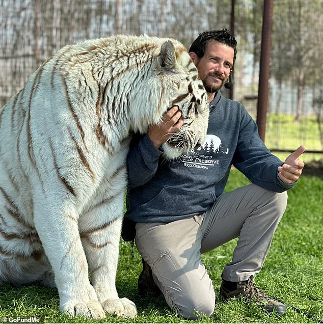 Ryan Easley, a handler at Growler Pines Tiger Preserve in Hugo Oklahoma was killed by a tiger while it was under his care on Saturday September 20, 2025