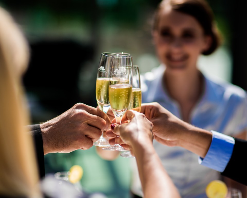 People toasting with champagne.