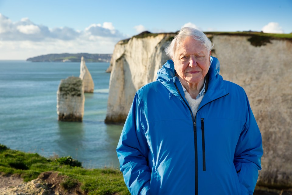David Attenborough in a blue jacket by the coast in southern England.