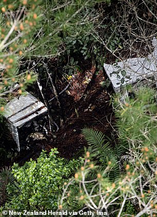 Aerial images have fuelled speculation Phillips built or accessed a makeshift dwelling