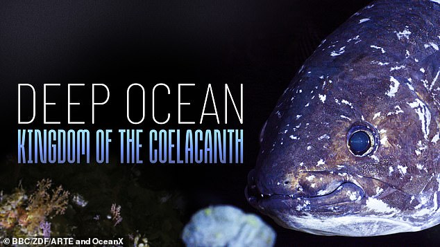BBC2's Deep Ocean: Kingdom Of The Coelacanth is narrated by the great David Attenborough - who was the first person to film a live coelacanth, for his landmark 1979 series Life On Earth