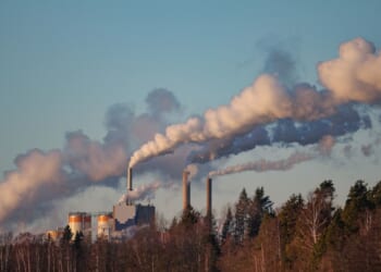 Carbon Taxes, Not Magic Bullets — Institute of Economic Affairs