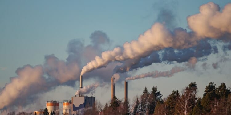 Carbon Taxes, Not Magic Bullets — Institute of Economic Affairs