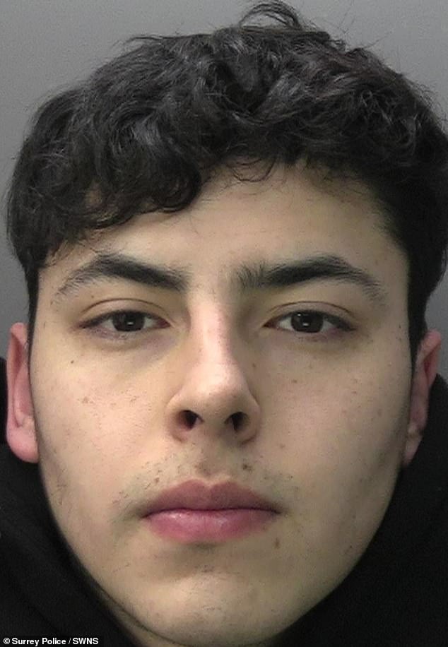 A Chilean gang who travelled to the UK and posed as tourists to steal more than £80,000 worth of luxury items from affluent homes have been jailed. Israel Contreras (pictured) was caught after his DNA was found on a broken angle grinder blade left at the scene of a burglary in Esher