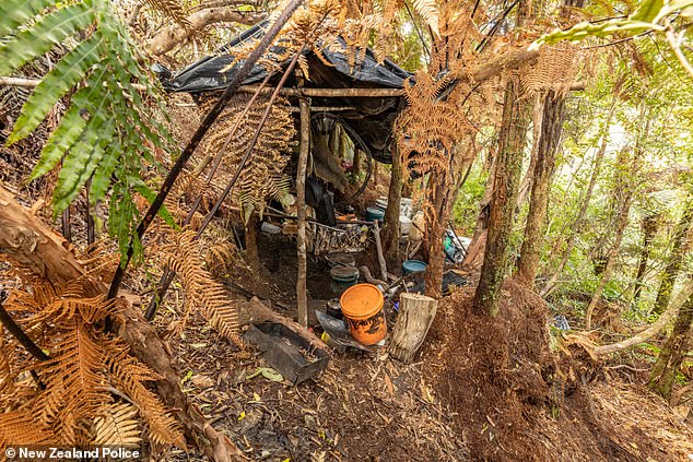A shelter had been constructed in the woodlands using tree branches and tarp