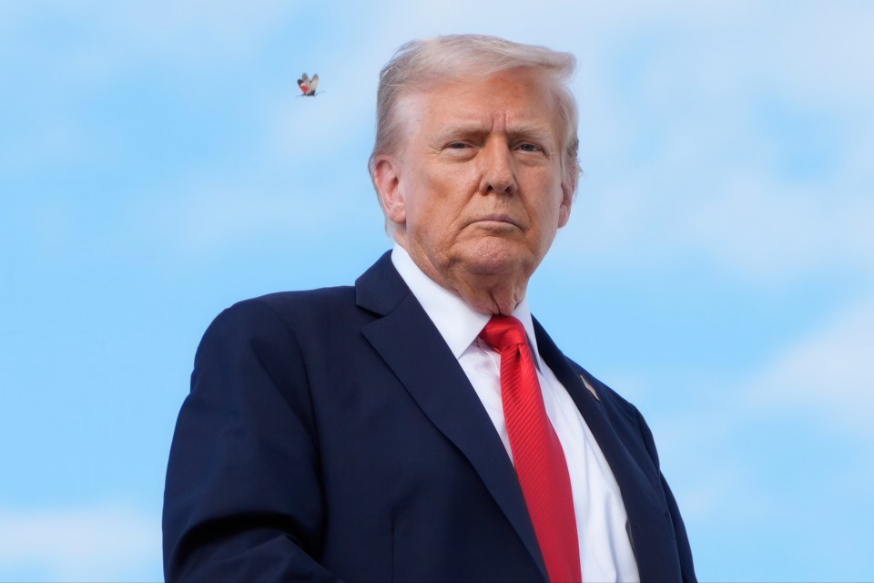 A spotted lanternfly flies past President Donald Trump as he boards Air Force One.
