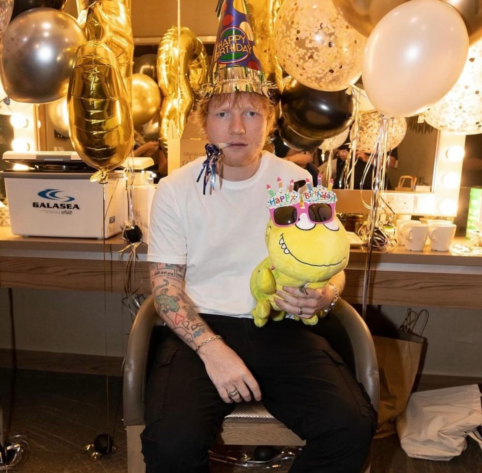 Ed Sheeran celebrating a fan's birthday with a Colin the Caterpillar plush.