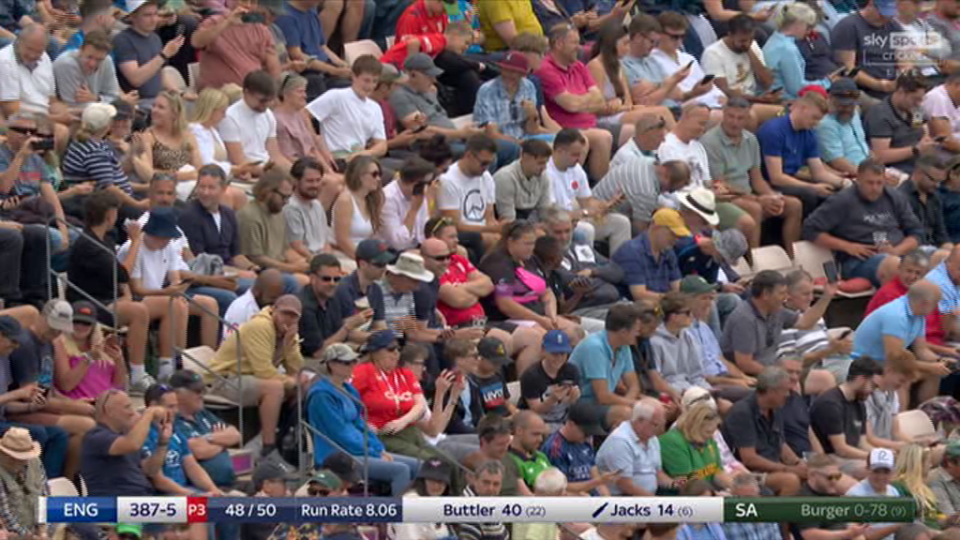 Crowd at a cricket match.