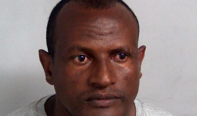 Ethiopian national Hadush Kebatu (pictured) who tried to kiss a schoolgirl before groping a woman who came to her aid was jailed for 12 months today