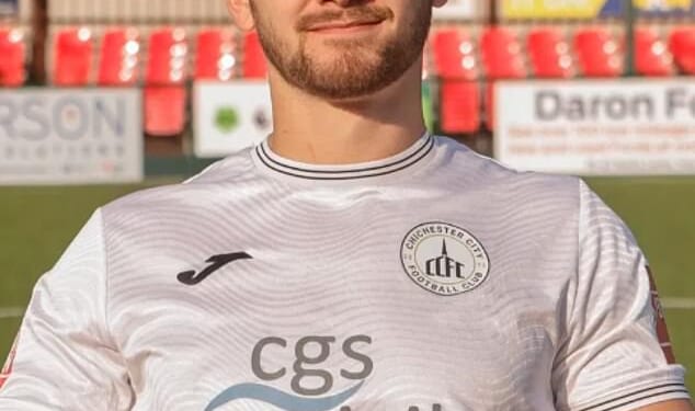 Fans want brick walls around pitches to be banned after Chichester City star Billy Vigar reportedly hit his head on one