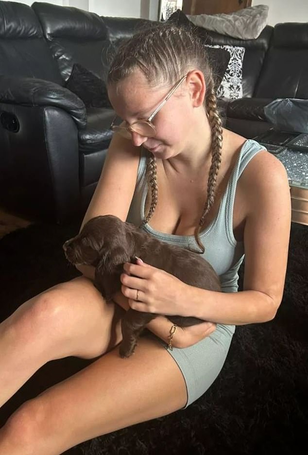 Four-month-old cocker spaniel Maisie was ripped from her arms of her owner Nikita by two XL Bullies before being shaken around by the dogs 'as if she was a toy'