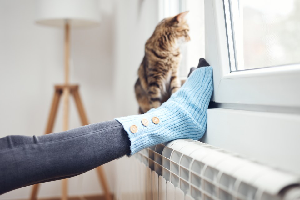Woman's feet in woolen socks on a radiator with a cat nearby.
