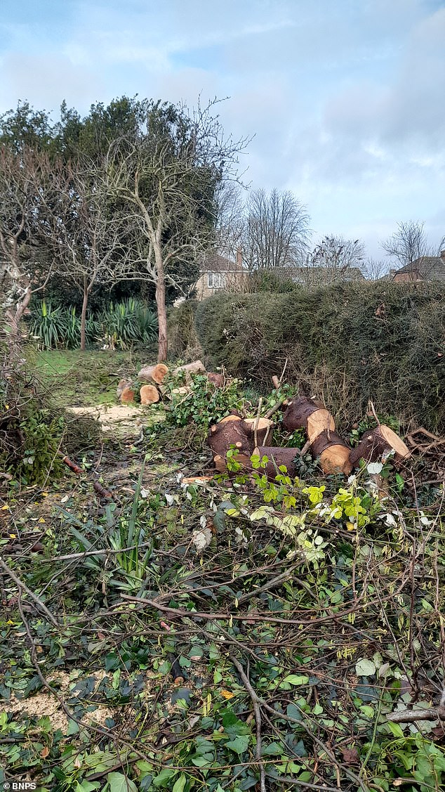 The gang left 70 per cent of the cuttings and debris behind and left the garden in a 'terrible mess'