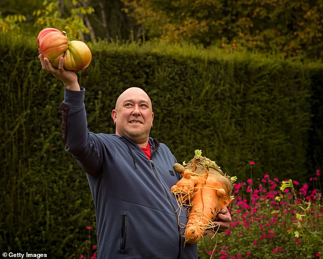 Chris Marriott wowed judges with a giant carrot that clocked in at a remarkable 21lbs- roughly the same as your average two-year-old