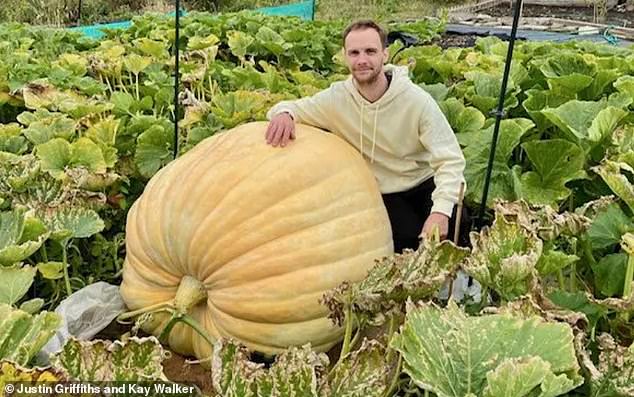 Justin Griffiths and Kay Walker, from Ashtead, are the proud growers of the 860lb (390kg) vegetable, which now dominates their plot at the Leatherhead Poors Allotments