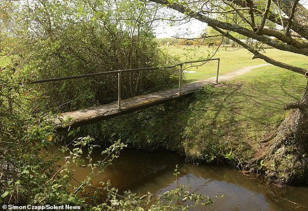 Forestry England, which is behind the controversial removal of the 70-year-old bridge, was not able to complete the works despite having a bulldozer there