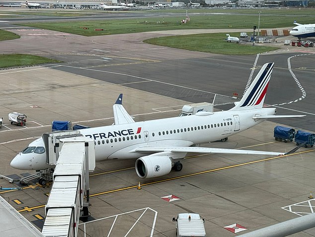 An Air France Airbus jet pictured on the apron at London's Heathrow airport yesterday