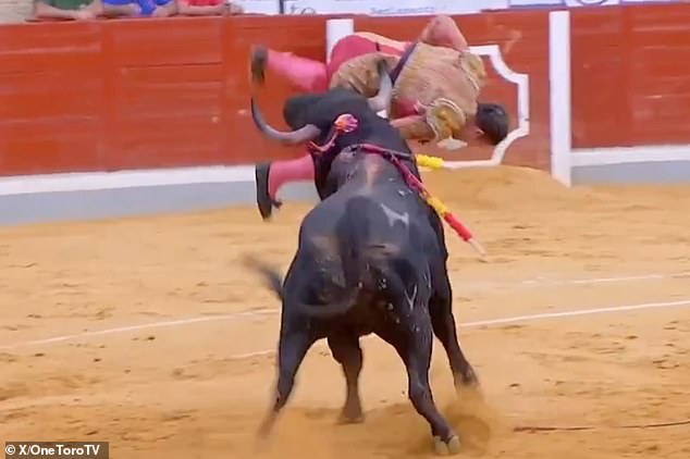 D'Alva was thrown up into the air and gored through the back, requiring surgery