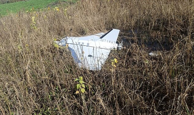 The field behind Jan Michalak's farmhouse hosts a magnificent stand of giant sunflower. Last Saturday, however, the 66-year-old wheat grower noticed that a large patch of the flower bed had been flattened - by a Russian drone sent into Polish airspace a few days earlier (pictured)