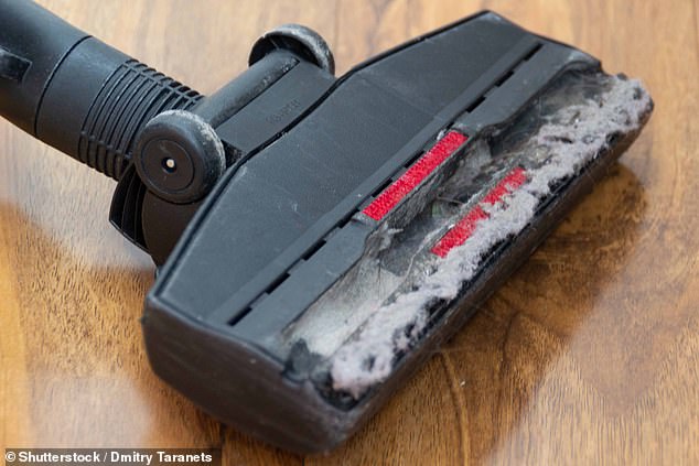 Don't let your vacuum get this dirty