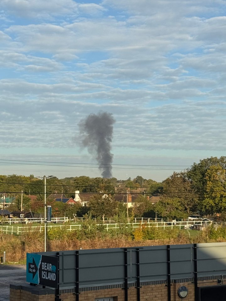 Smoke rising from behind buildings and trees.