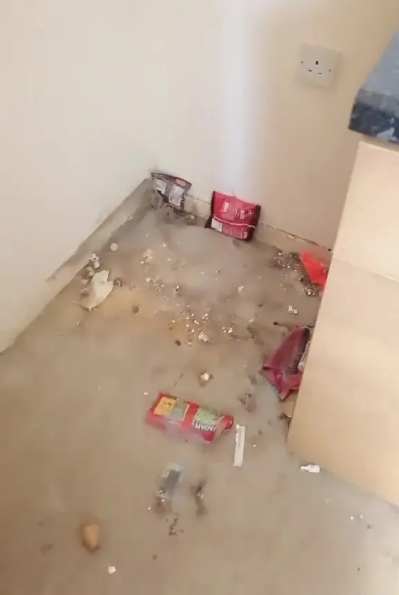 Floor soaked with urine and feces.