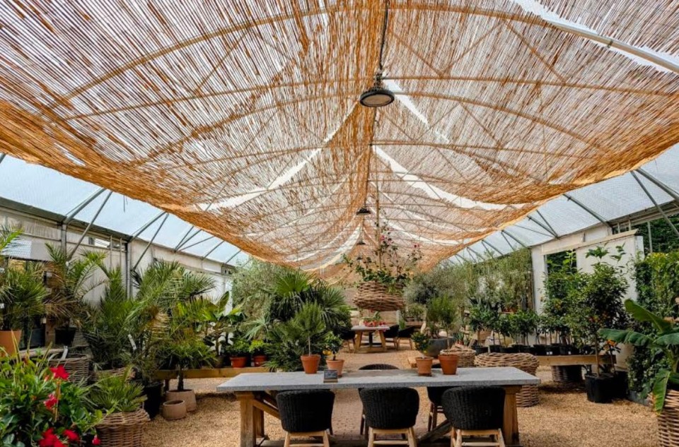 Interior of Burford Garden Centre with potted plants under a bamboo shade.