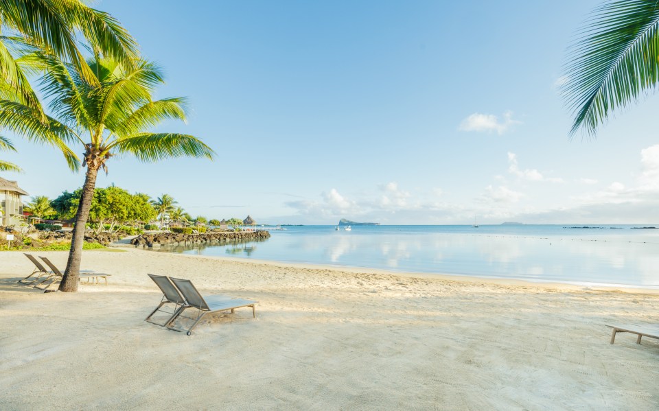 Beach view with lounge chairs on the sand, palm trees, and clear blue water with boats in the distance.