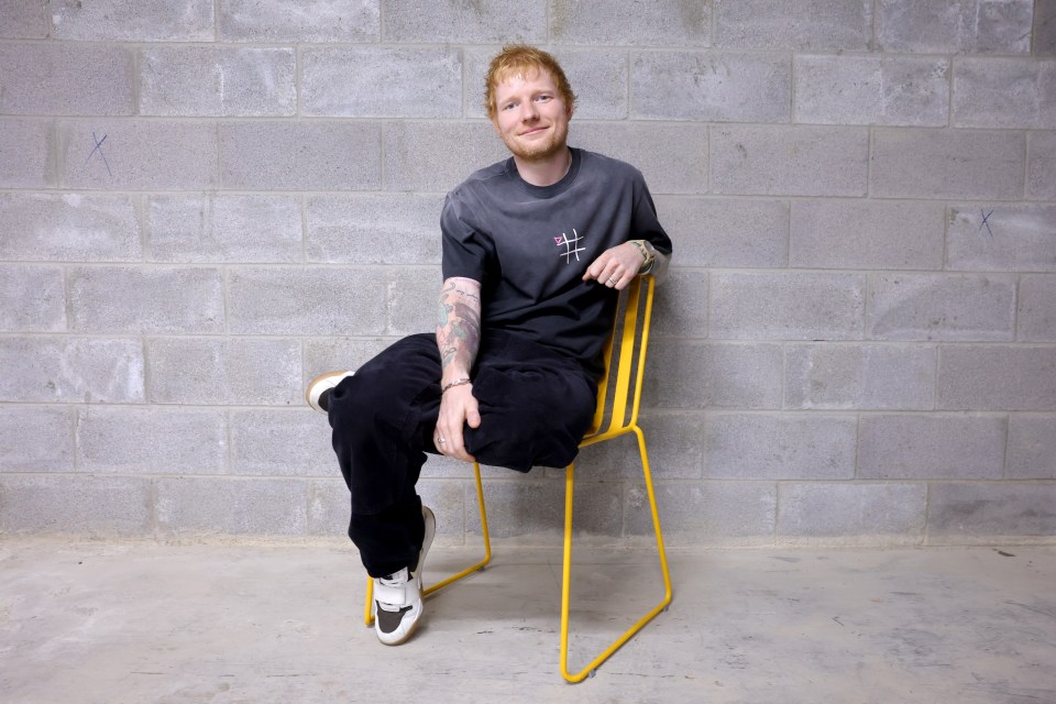 Ed Sheeran poses during TikTok Presents Ed Sheeran's Play.