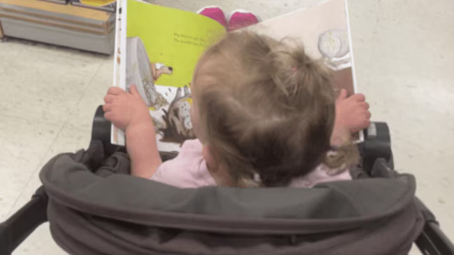Toddler reading a book in a stroller.