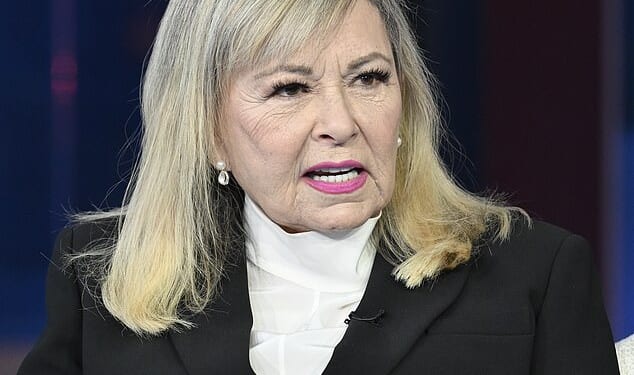 Roseanne Barr fiercely denounced the 'double standard' of ABC reinstating Jimmy Kimmel , seven years after the network fired her from her iconic sitcom