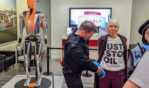 Just Stop Oil eco-zealot Catherine Nash, 74, (pictured) was arrested after targeting Elon Musk's Optimus robot at Westfield's Tesla showroom earlier this year