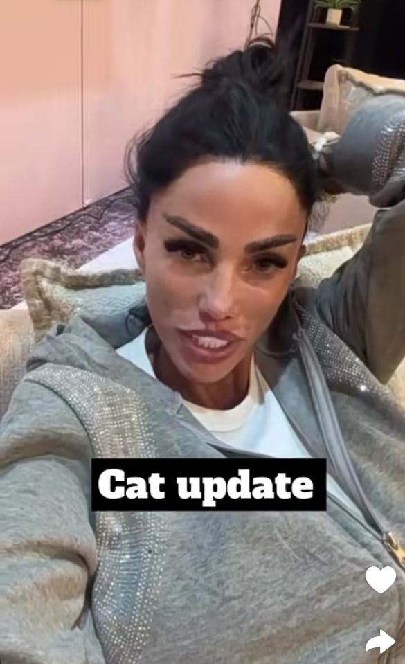 Katie Price giving a cat update.