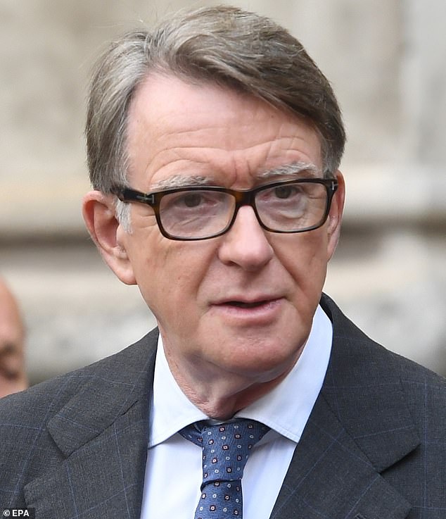 The Tories congratulated themselves on achieving a 'scalp' and eagerly looked forward to the collapse of the New Labour project. Pictured: Peter Mandelson in 2019