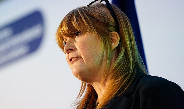 Police minister Sarah Jones said facial recognition cameras may one day be 'rolled out across the country' and - ahead of any such expansion - rules on their use must be reviewed