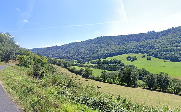 Grandjean had contacted France 's suicide helpline hours before she jumped 30 metres off a cliff near Anglards-de-Salers in Cantal