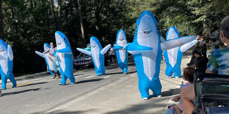 Letter from Greenbelt, Maryland: Amid setbacks, our new home shows resilience