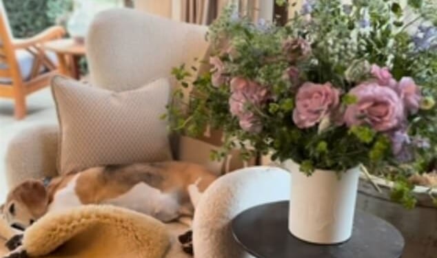 The Duchess of Sussex, 44, took to her Instagram account on Friday to show off what appeared to be her cosy living room in her Montecito home (pictured)