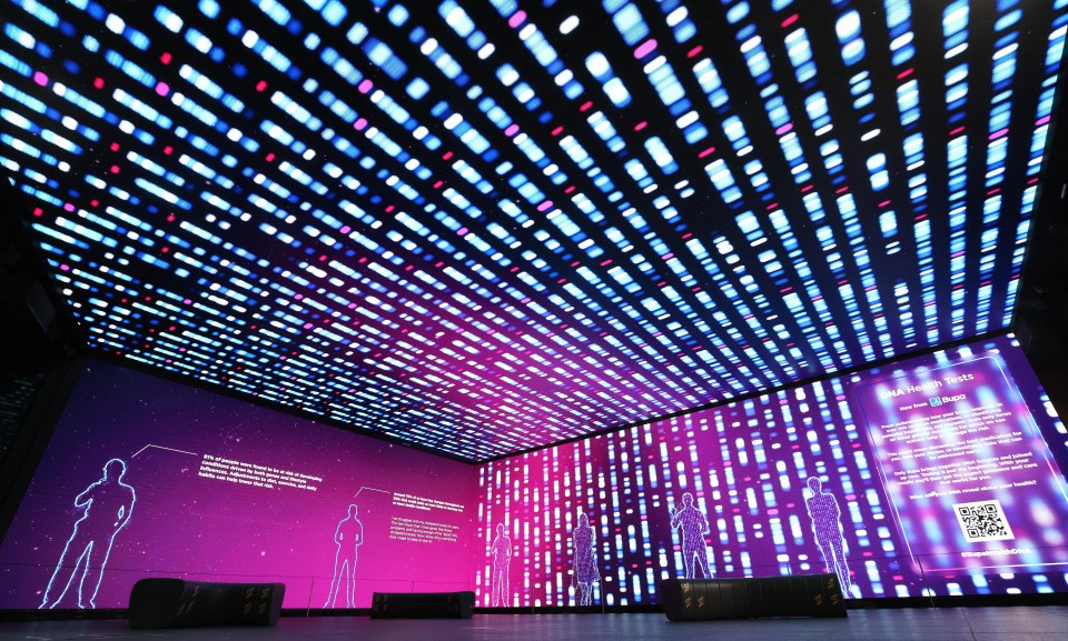Bupa's 'Inside your insides' installation features illuminated screens displaying genetic information, health risks, and Bupa DNA health tests.