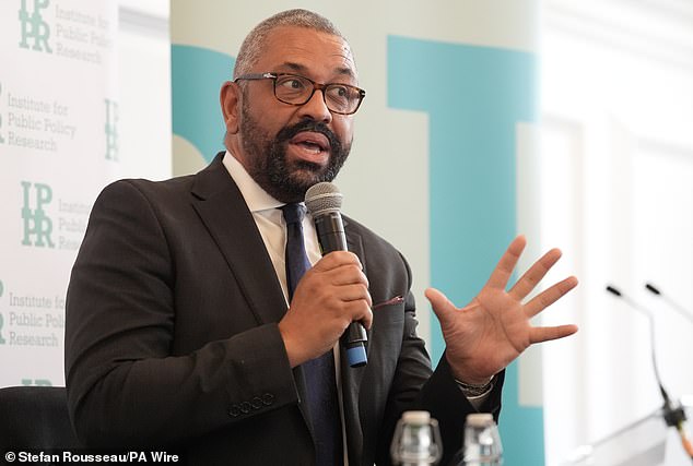 Former Tory home secretary Sir James Cleverly (above) said families are being landed with higher bills despite there being 'no evidence this approach will deliver better services'