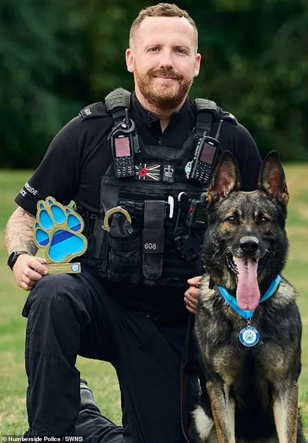 PC Tom Marsden and PD Yoiko descended on the apartment in Hull , East Yorkshire, in July last year to help officers who were trying to apprehend the man