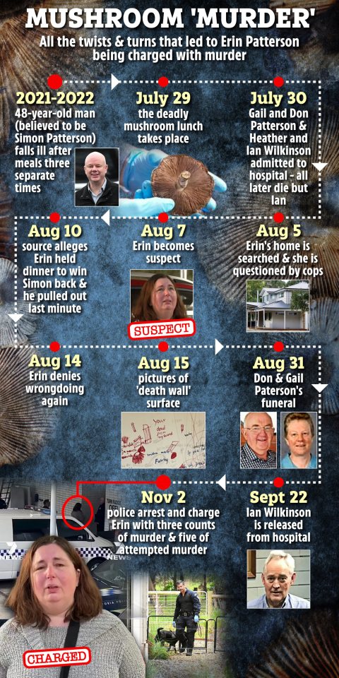 Timeline illustrating the events leading to Erin Patterson's arrest and charges for murder and attempted murder.