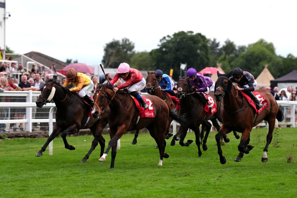 Horses racing at Royal Windsor Racecourse.