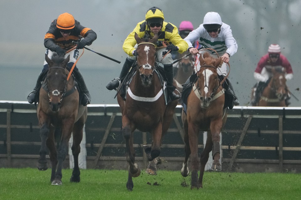 Trainer Nicky Henderson at Sandown Park Racecourse.