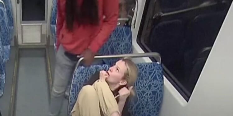 Iryna Zarutska was fatally stabbed on a Charlotte, North Carolina, light rail train in August 2025, allegedly by career criminal Decarlos Brown Jr.