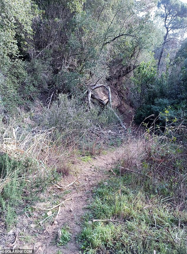 The grim discovery was made yesterday around 7pm by a man walking in woods near a residential estate just outside Lloret de Mar's town centre