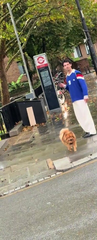 A man walking a dog in London.